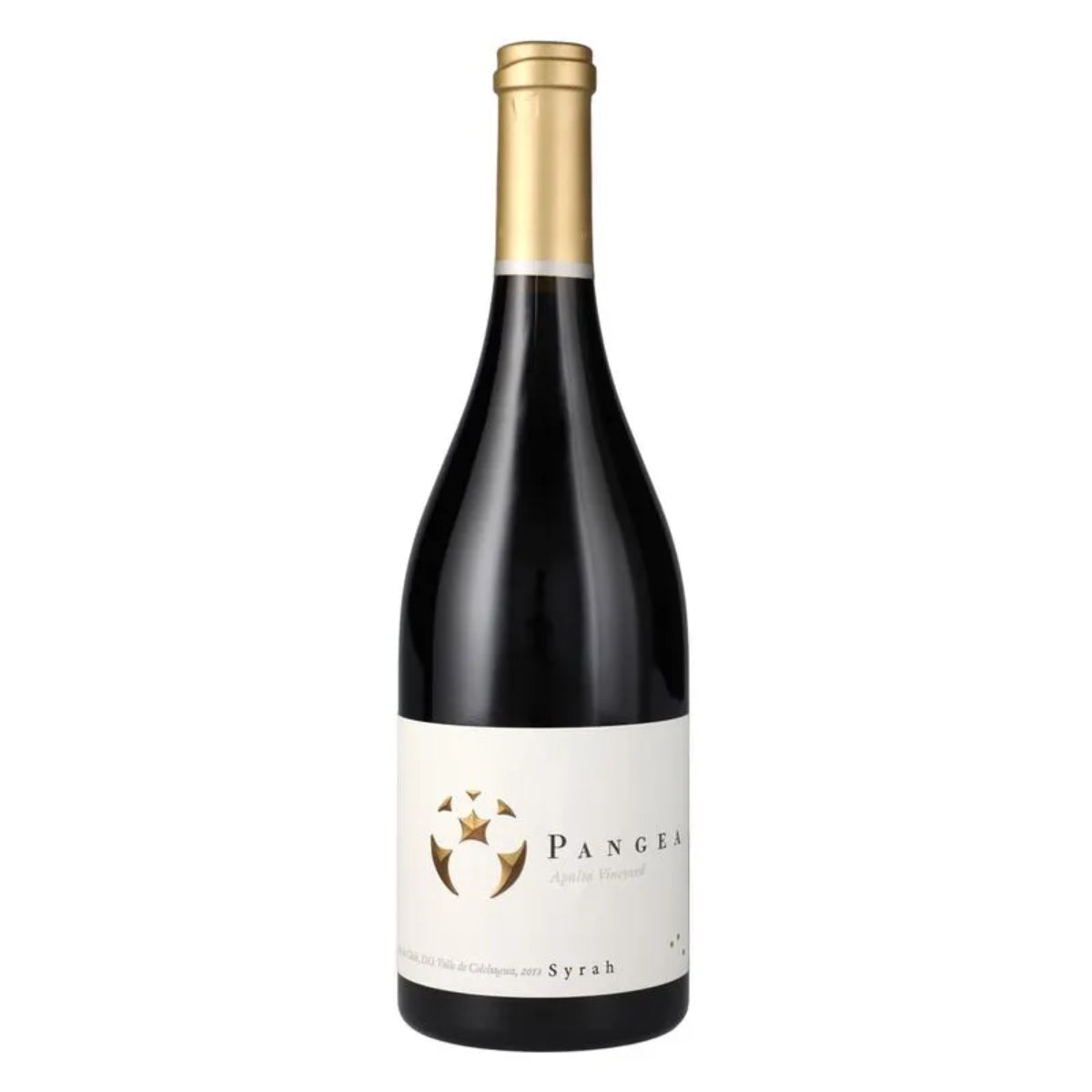 VENTISQUERO PANGEA SYRAH