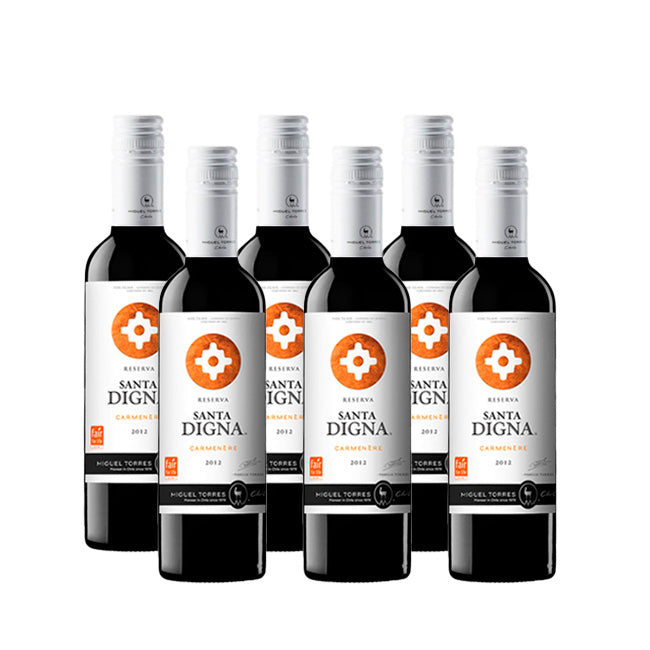 PACK 6 BOTELLAS MIGUEL TORRES SANTA DIGNA CABERNET SAUVIGNON