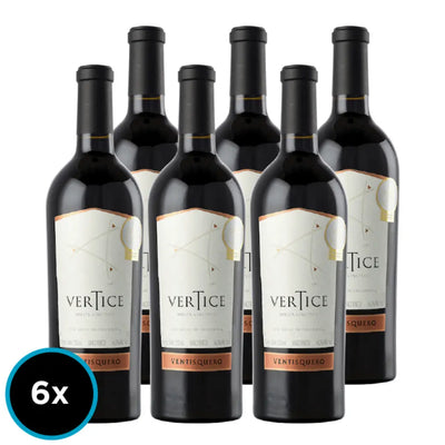 PACK 6 BOTELLAS VENTISQUERO VERTICE