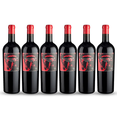 PACK 6 BOTELLAS VALDIVIESO CABALLO LOCO GRAND CRU MAIPO