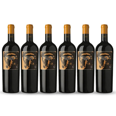 PACK 6 BOTELLAS VALDIVIESO CABALLO LOCO GRAND CRU LIMARI
