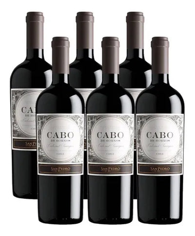 PACK 6 BOTELLAS SAN PEDRO CABO DE HORNOS