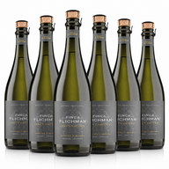 PACK 6 BOTELLAS FINCA FLICHMAN BRUT NATURE