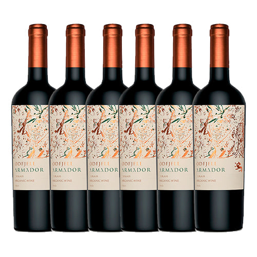 PACK 6 BOTELLAS ODFJELL ARMADOR CARMENERE