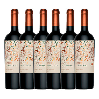 PACK 6 BOTELLAS ODFJELL ARMADOR CARMENERE