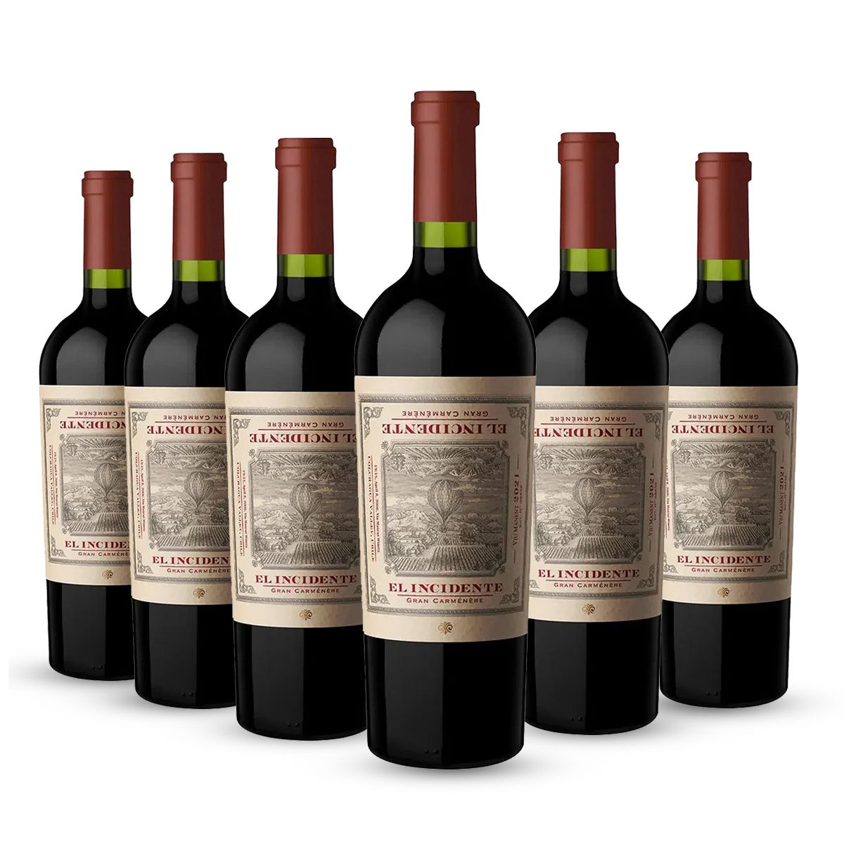 PACK 6 BOTELLAS VIU MANENT EL INCIDENTE