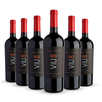 PACK 6 BOTELLAS VIU MANENT INFINITO