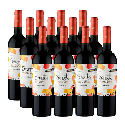PACK 12 BOTELLAS VIU MANENT SECRETO CARMENERE