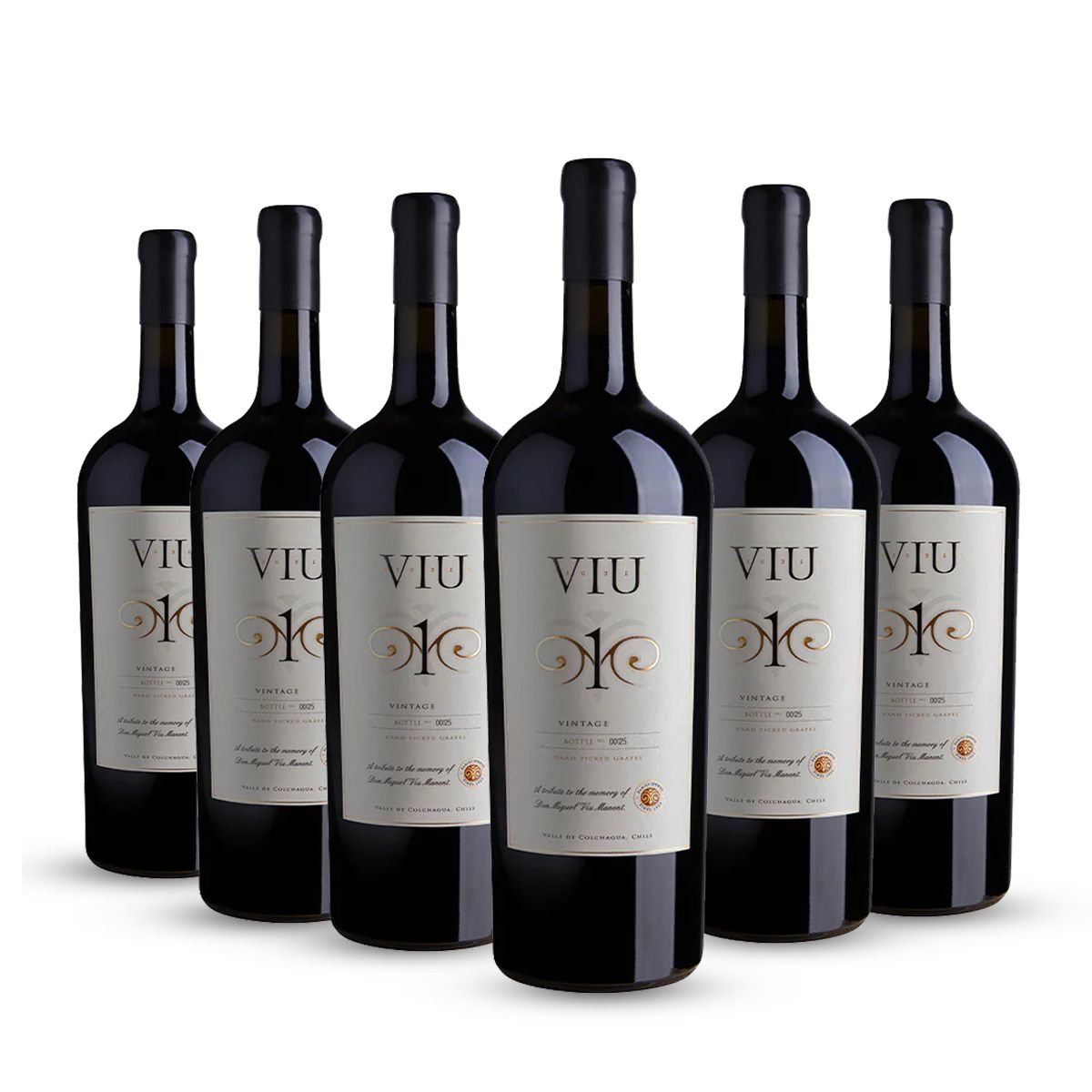 PACK 6 BOTELLAS VIU MANENT VIU 1
