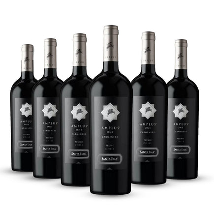 PACK 6 BOTELLAS SANTA EMA AMPLUS ONE CARMENERE