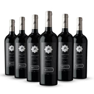 PACK 6 BOTELLAS SANTA EMA AMPLUS ONE CARMENERE