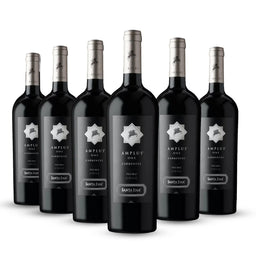 PACK 6 BOTELLAS SANTA EMA AMPLUS ONE CARMENERE