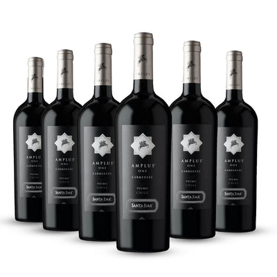 PACK 6 BOTELLAS SANTA EMA AMPLUS ONE CARMENERE