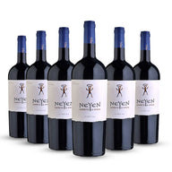 PACK 6 BOTELLAS NEYEN ESPIRITU DE APALTA