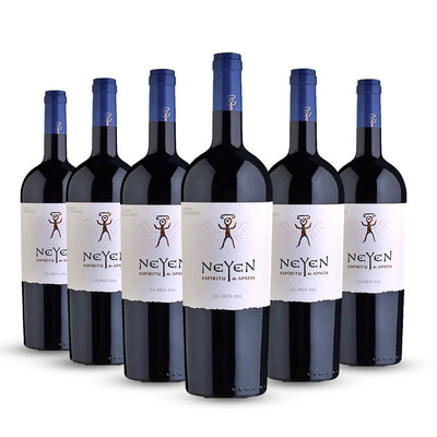 PACK 6 BOTELLAS NEYEN ESPIRITU DE APALTA
