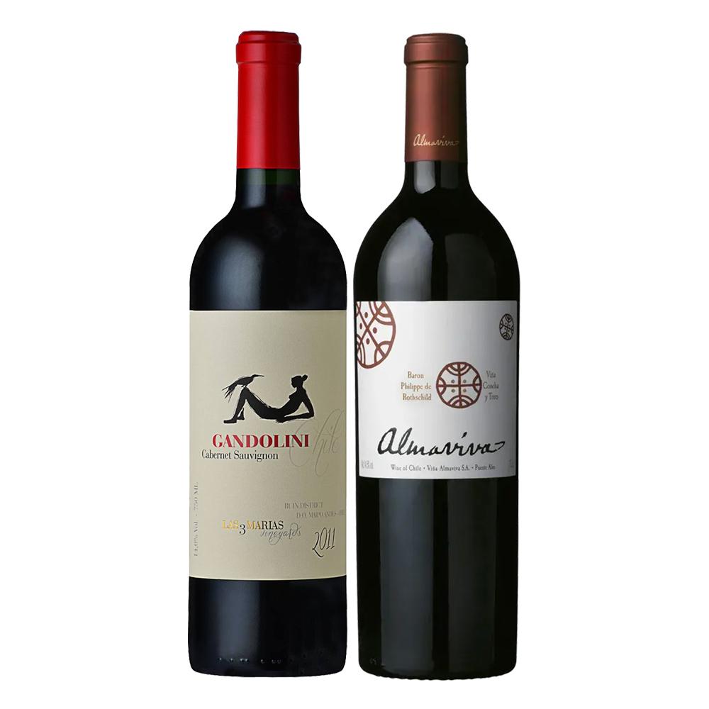 PACK 2 BOTELLAS - ICONOS DE CHILE