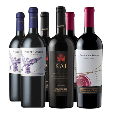 Pack 6 Botellas – Grandes Carmenere de Chile