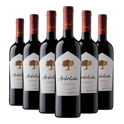PACK 6 BOTELLAS ARBOLEDA CARMENERE