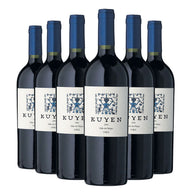 PACK 6 BOTELLAS ANTIYAL KUYEN