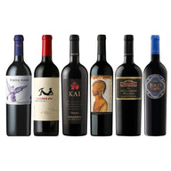 PACK 6 BOTELLAS ICONOS PARA CELEBRAR V