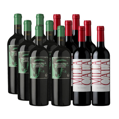 PACK 12 BOTELLAS DE TINTOS PARA CELEBRAR