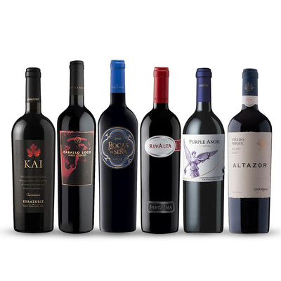 PACK 6 BOTELLAS ICONOS PARA CELEBRAR