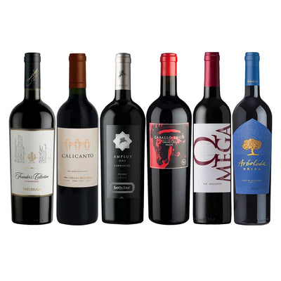 Pack 6 Botellas – Carmenere & Ensamblajes de Alta Gama