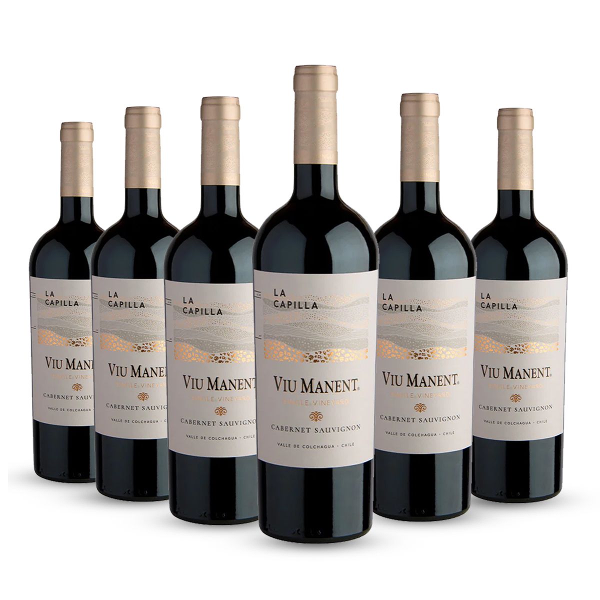 PACK 6 BOTELLAS VIU MANENT SINGLE VINEYARD LA CAPILLA