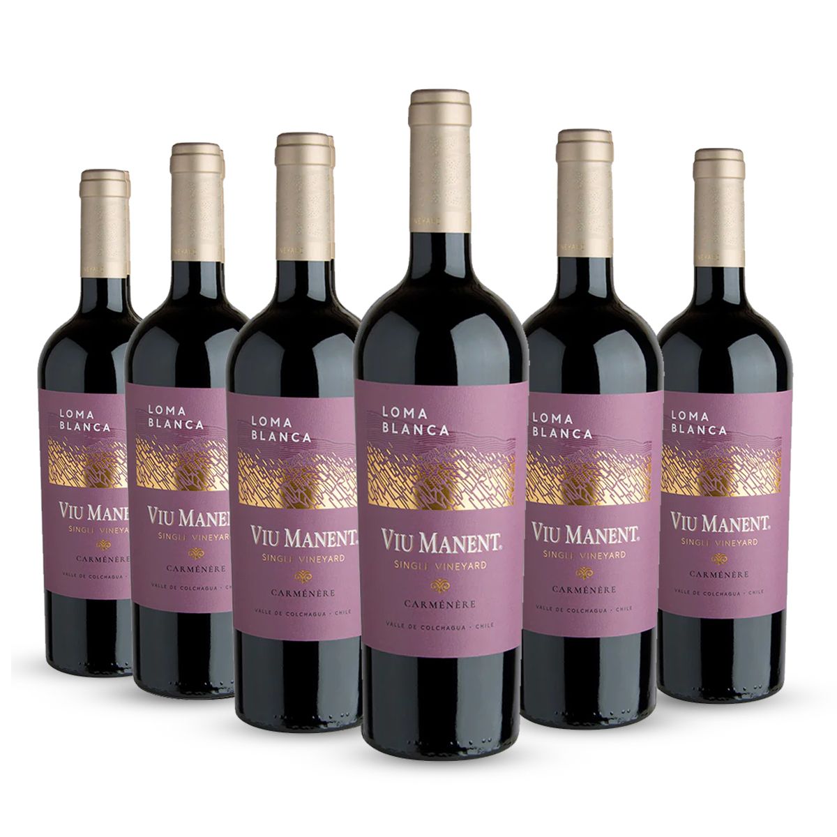 PACK 6 BOTELLAS VIU MANENT SINGLE VINEYARD LOMA BLANCA
