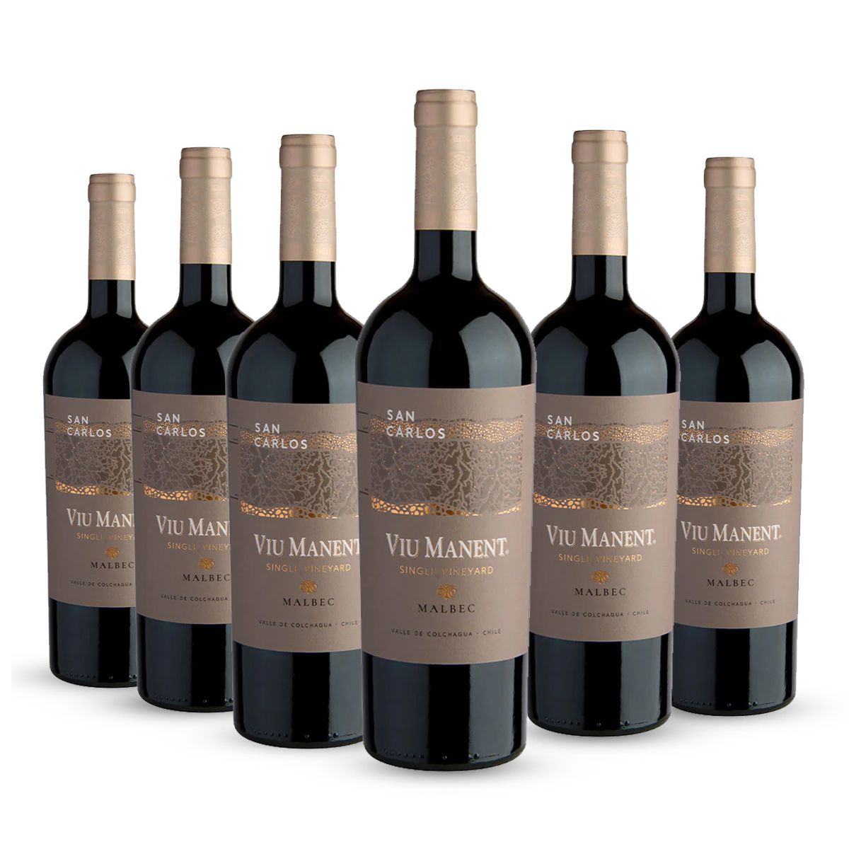 PACK 6 BOTELLAS VIU MANENT SINGLE VINEYARD SAN CARLOS