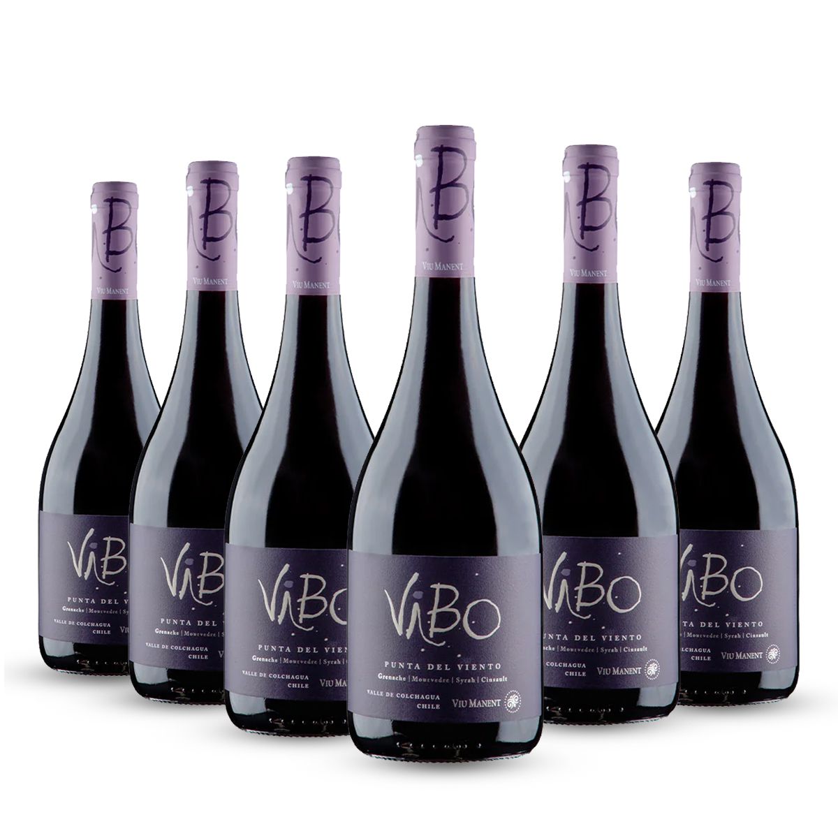 PACK 6 BOTELLAS VIU MANENT VIBO PUNTA DEL VIENTO