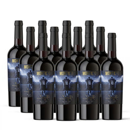 PACK 12 BOTELLAS MONTIL10 RED BLEND