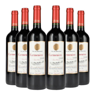 PACK 6 BOTELLAS VON SIEBENTHAL CARMENERE