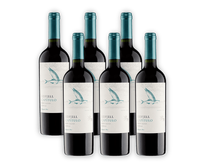 PACK 6 BOTELLAS ODFJELL CAPITULO BLEND