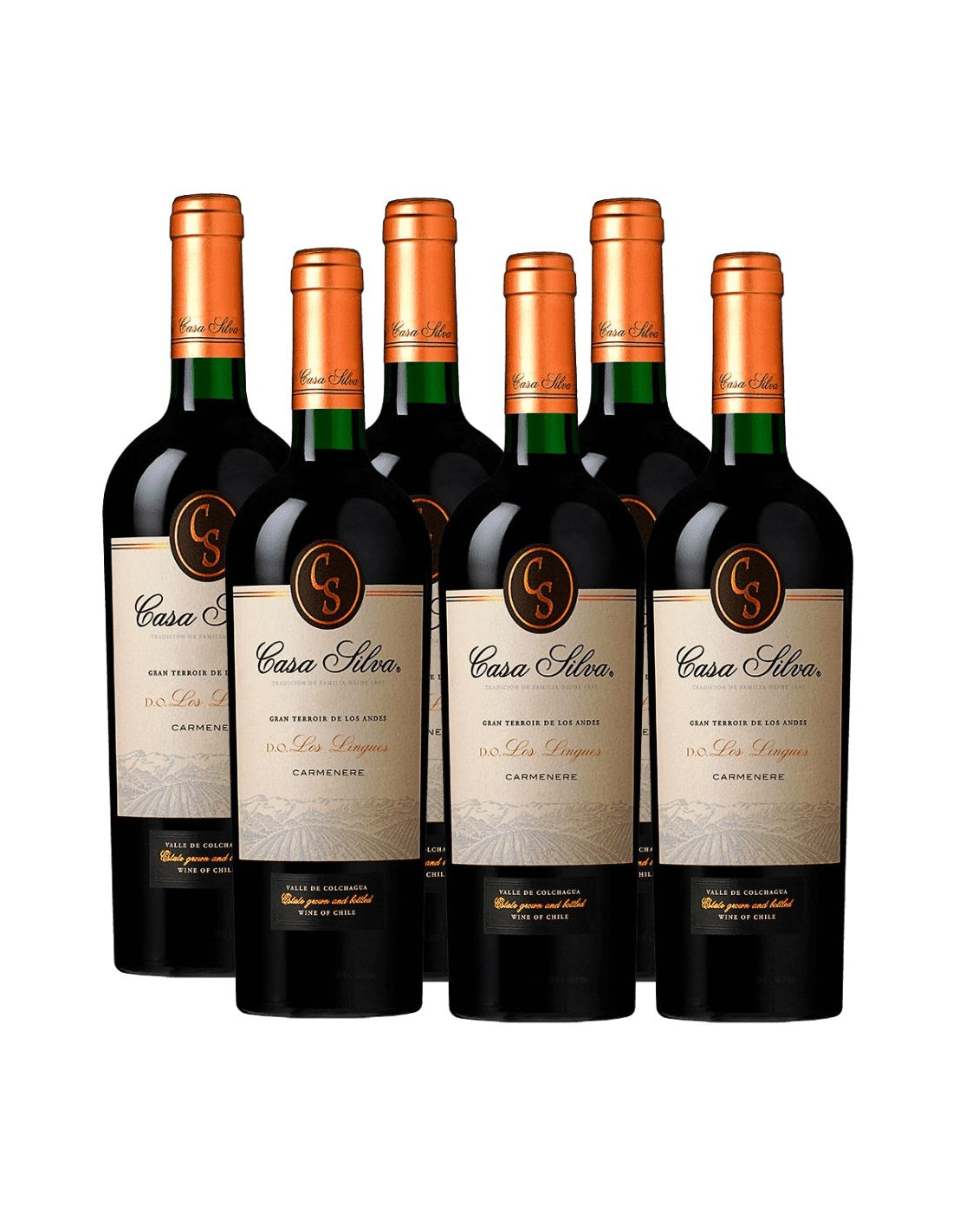 PACK 6 BOTELLAS CASA SILVA GRAN TERROIR CARMENERE