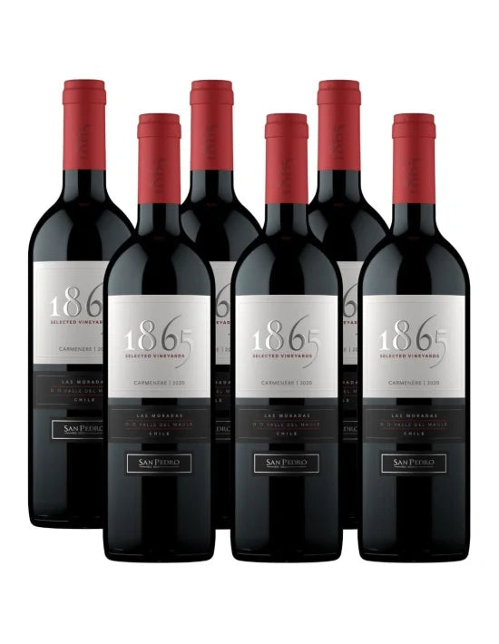 PACK 6 BOTELLAS SAN PEDRO 1865 CARMENERE