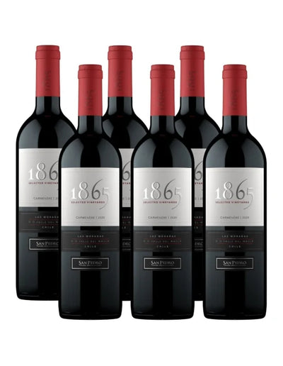PACK 6 BOTELLAS SAN PEDRO 1865 CARMENERE