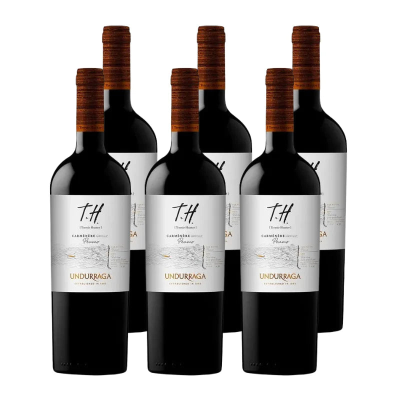 PACK 6 BOTELLAS UNDURRAGA TH CARMENERE