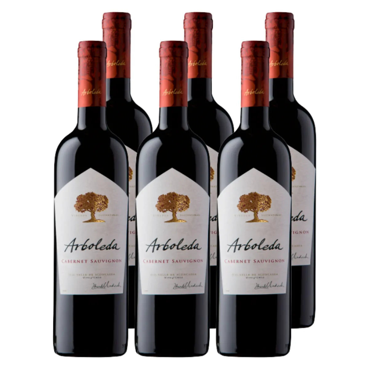 PACK 6 BOTELLAS ARBOLEDA CABERNET SAUVIGNON